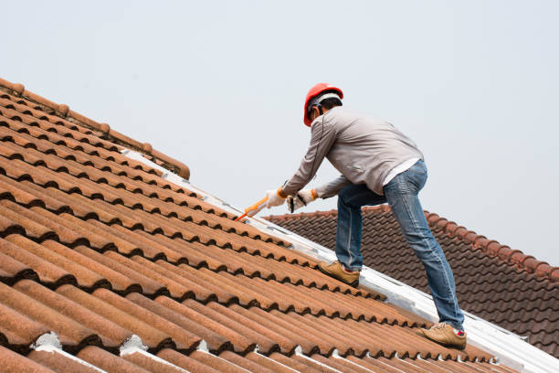 Best Roofing for New Construction  in Lake City, FL
